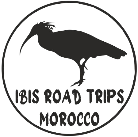 IBIS ROAD TRIPS  MOROCCO